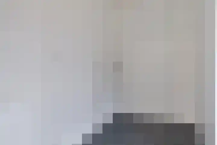 Rheezerend 178 Dedemsvaart thumbnail 34