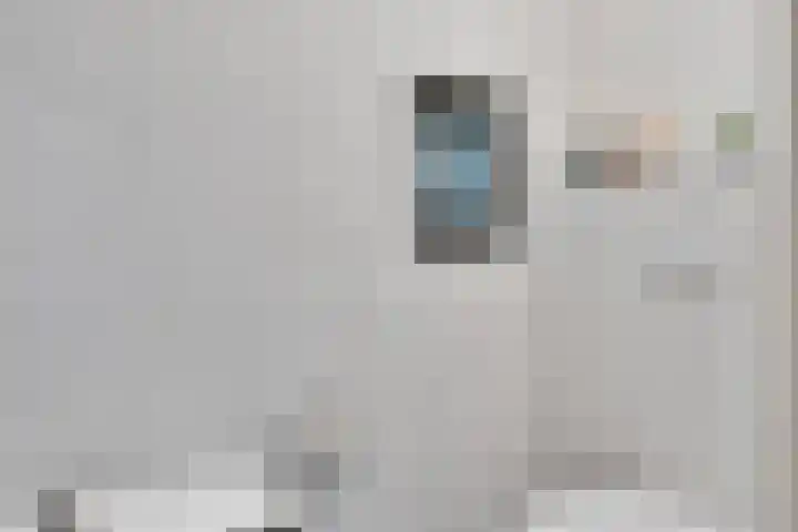 Rheezerend 178 Dedemsvaart thumbnail 35