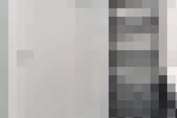 Rheezerend 178 Dedemsvaart thumbnail 36