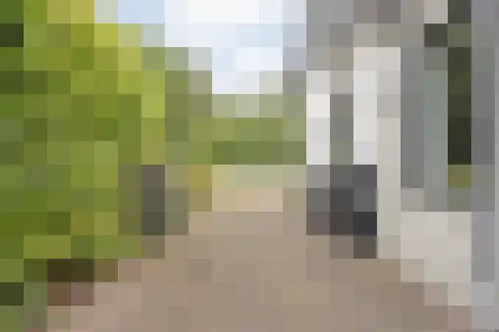 Rheezerend 178 Dedemsvaart thumbnail 4