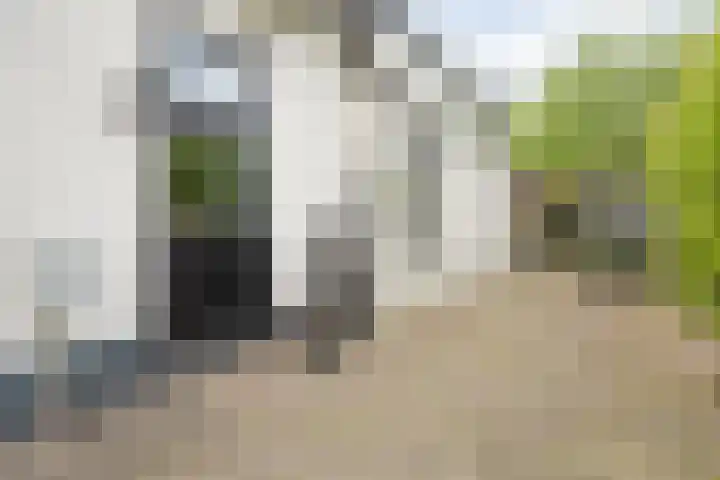 Rheezerend 178 Dedemsvaart thumbnail 5