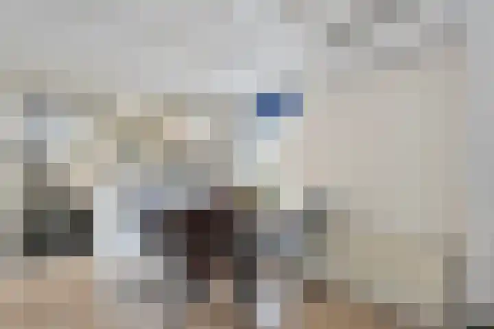 Rheezerend 178 Dedemsvaart thumbnail 8