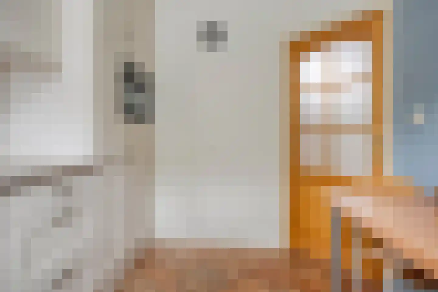 Rheezerend 36 Dedemsvaart thumbnail 12