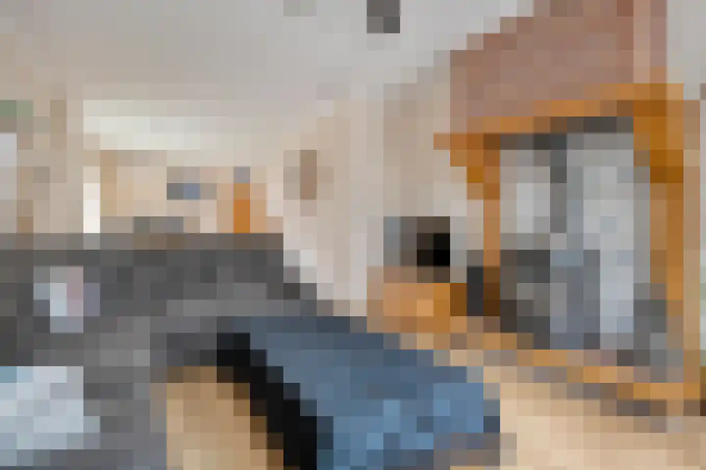 Rheezerend 36 Dedemsvaart thumbnail 15