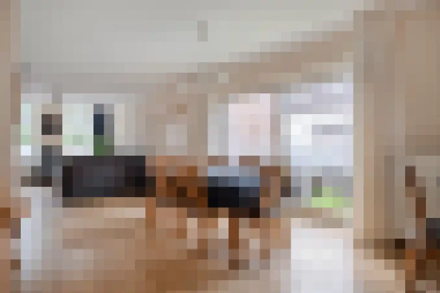Rheezerend 36 Dedemsvaart thumbnail 17