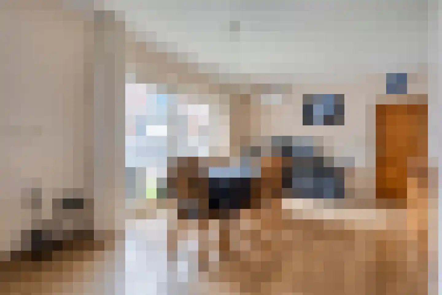 Rheezerend 36 Dedemsvaart thumbnail 18