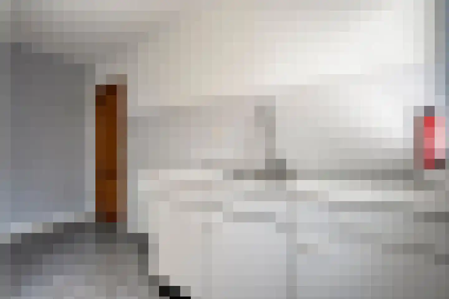 Rheezerend 36 Dedemsvaart thumbnail 19