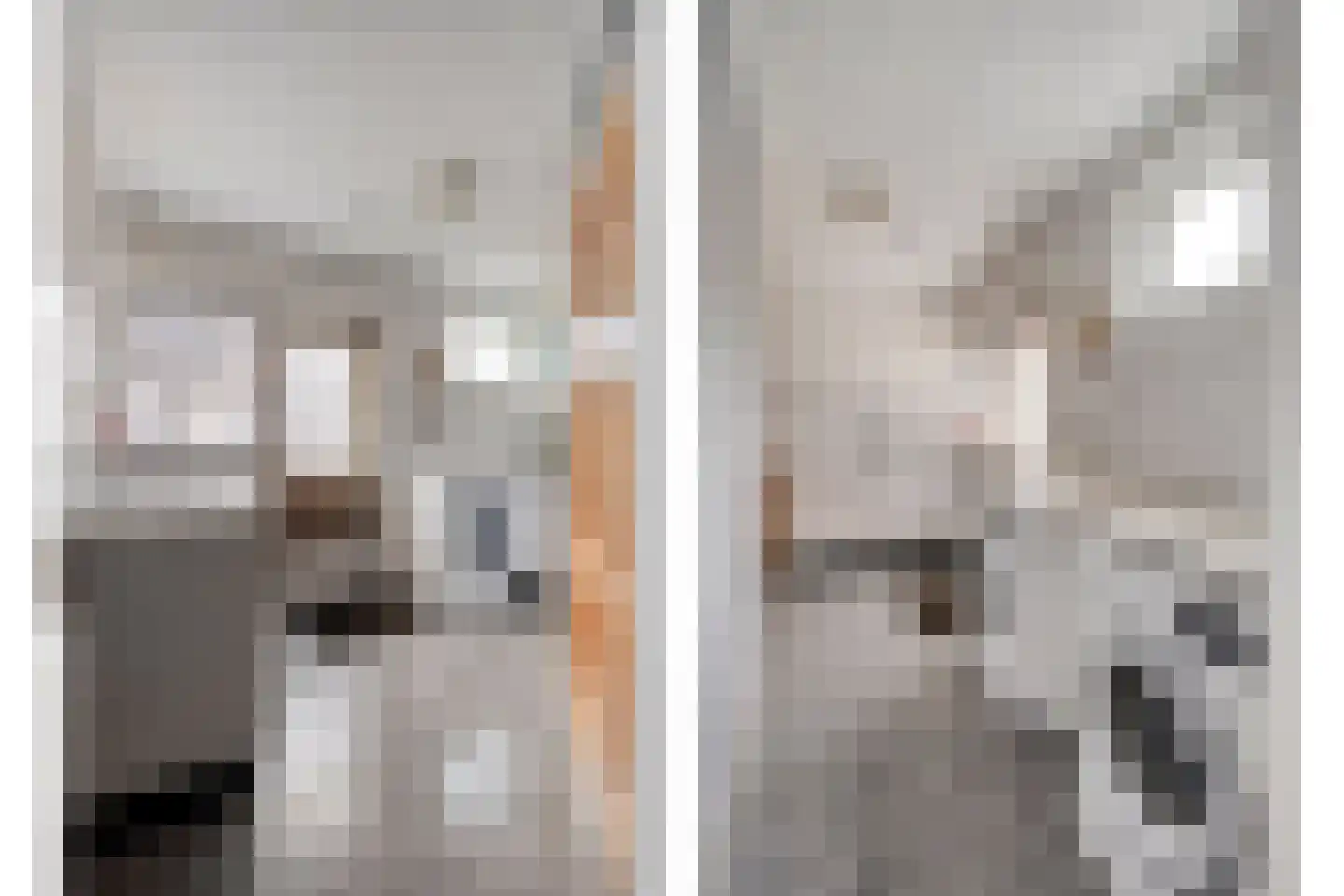 Rheezerend 36 Dedemsvaart thumbnail 20