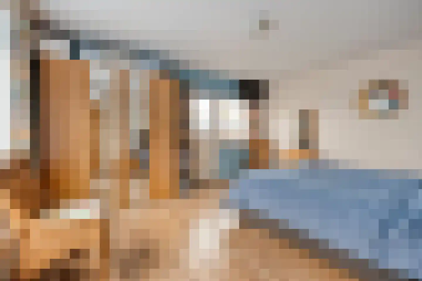 Rheezerend 36 Dedemsvaart thumbnail 22