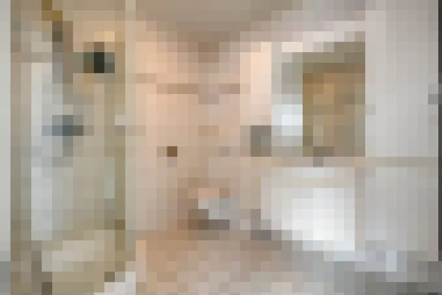 Rheezerend 36 Dedemsvaart thumbnail 24