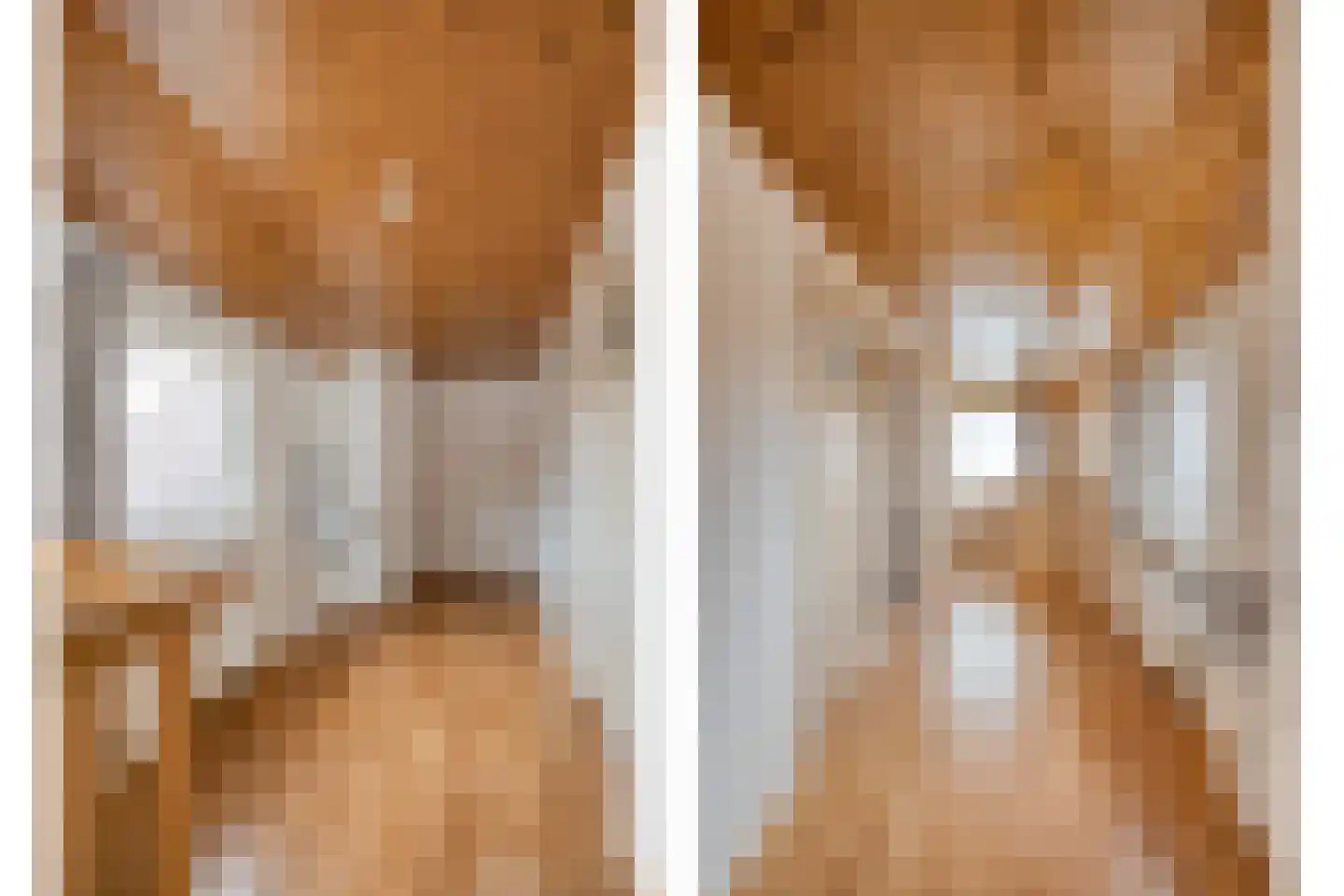 Rheezerend 36 Dedemsvaart thumbnail 26