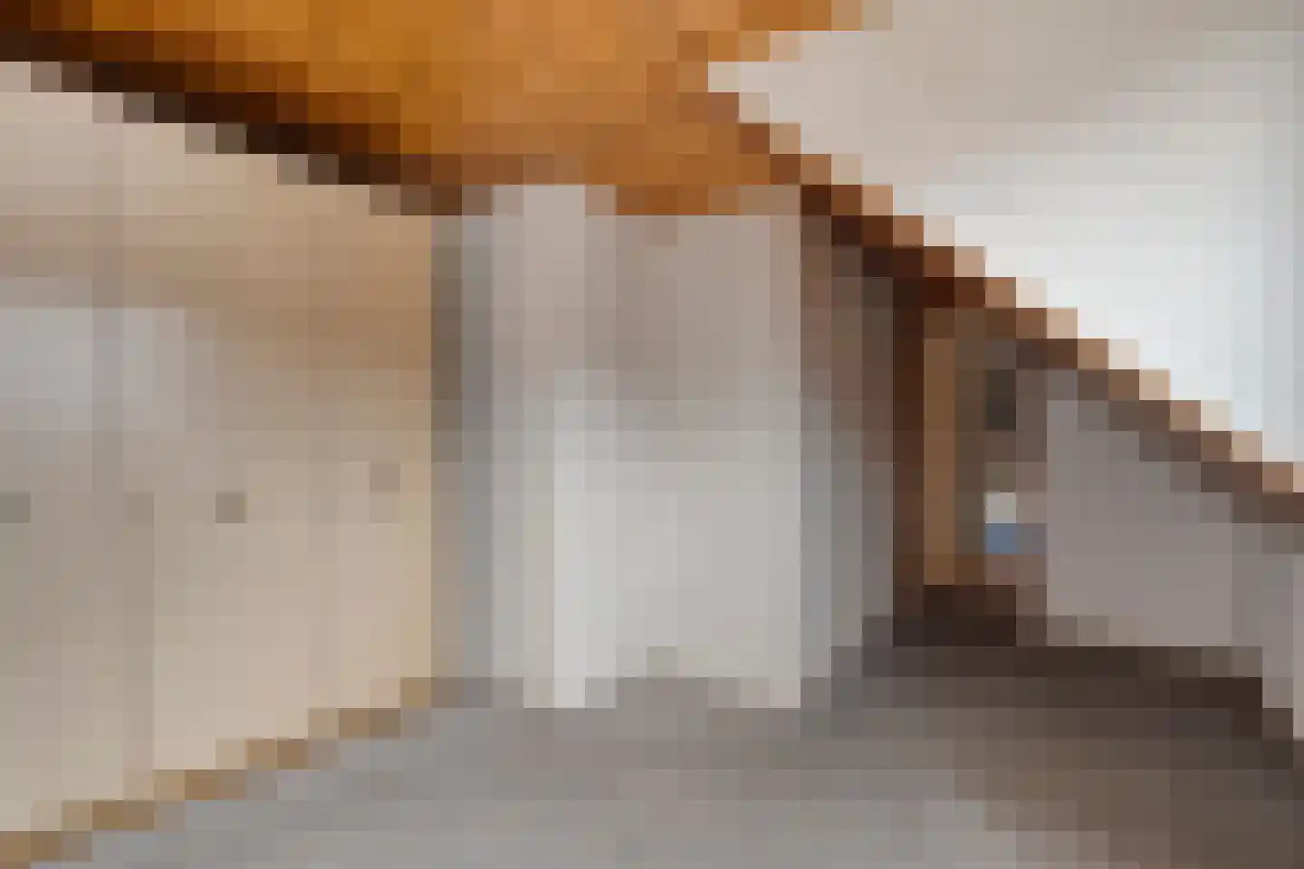 Rheezerend 36 Dedemsvaart thumbnail 27