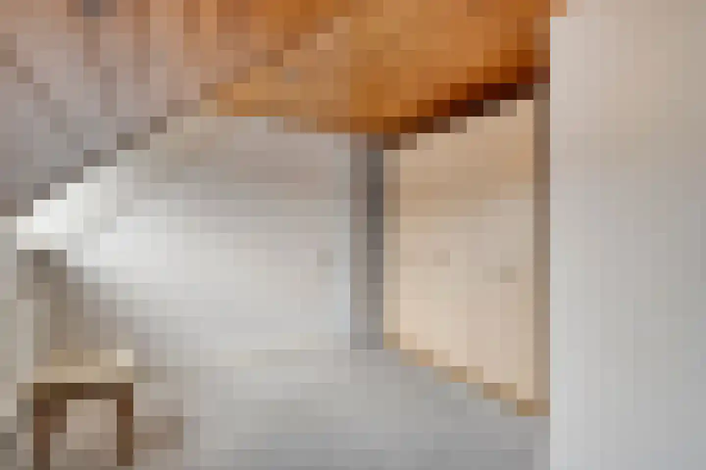 Rheezerend 36 Dedemsvaart thumbnail 28