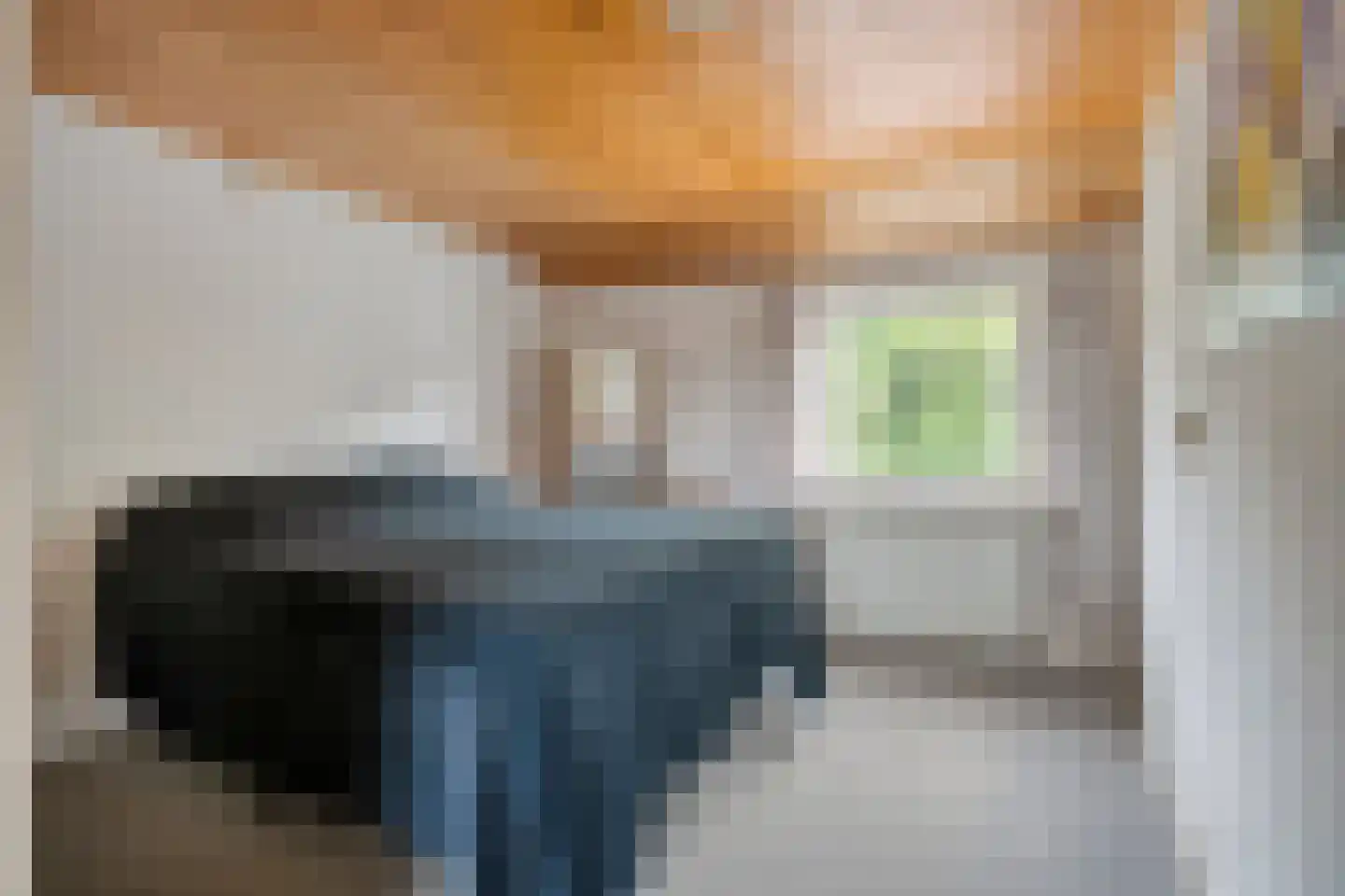 Rheezerend 36 Dedemsvaart thumbnail 29