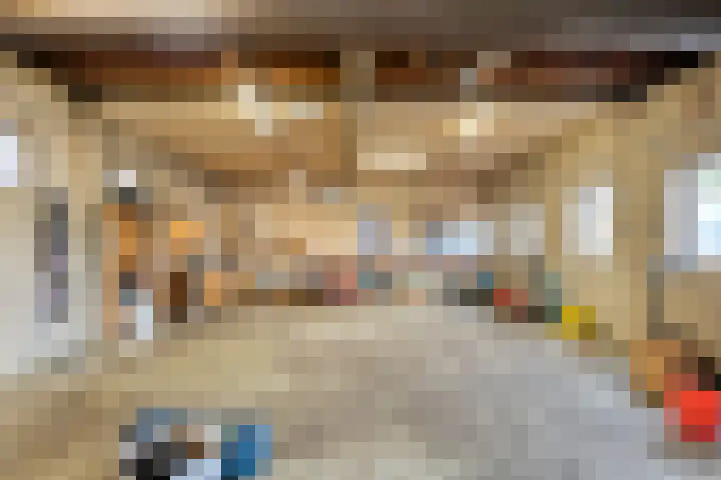 Rheezerend 36 Dedemsvaart foto 3