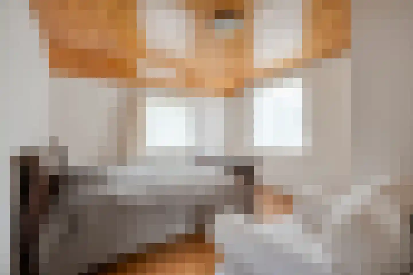 Rheezerend 36 Dedemsvaart thumbnail 31