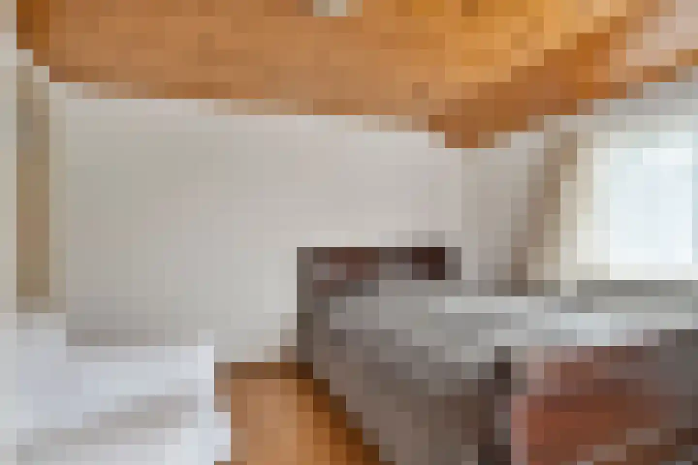Rheezerend 36 Dedemsvaart thumbnail 32