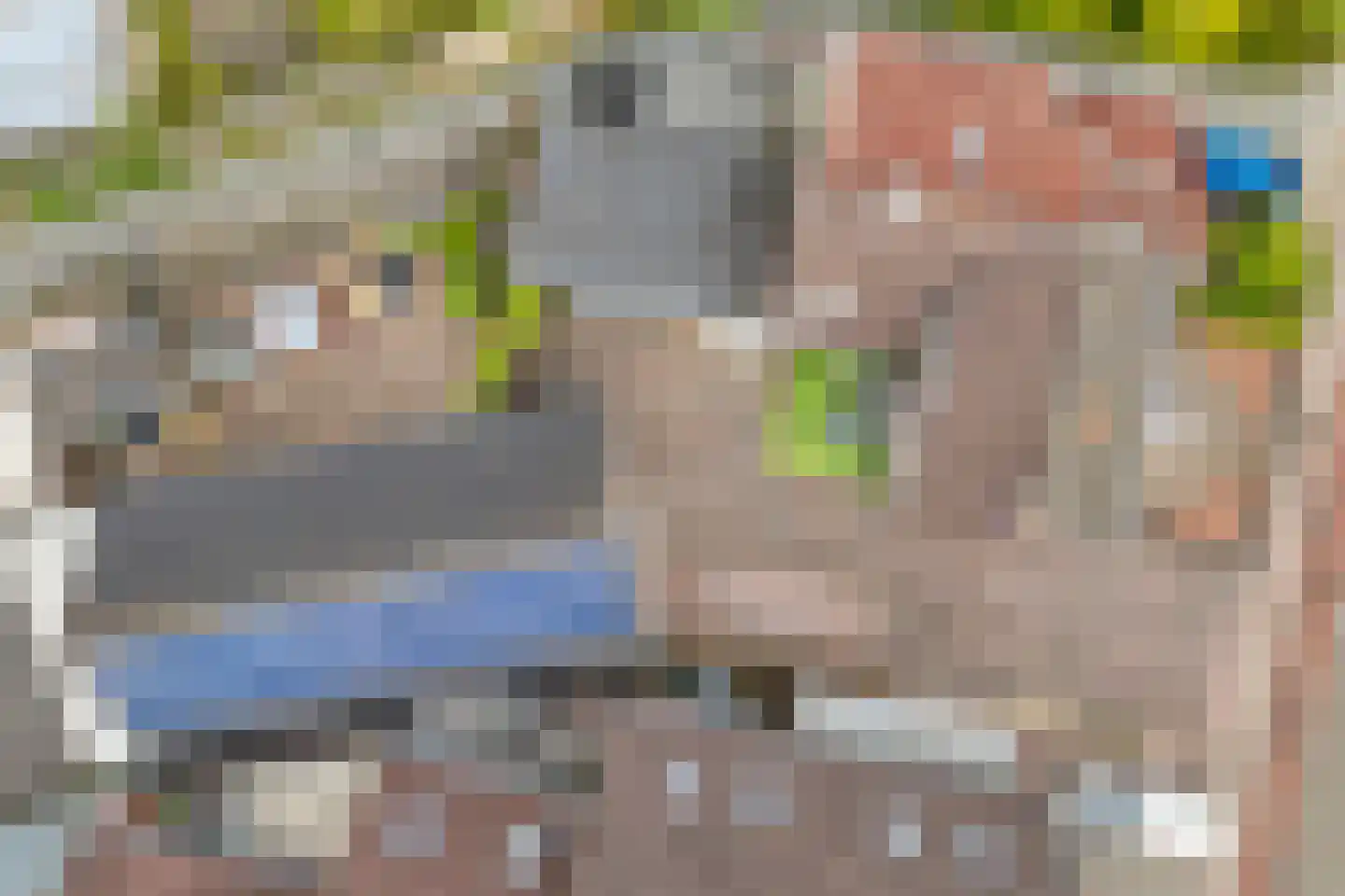 Rheezerend 36 Dedemsvaart thumbnail 34