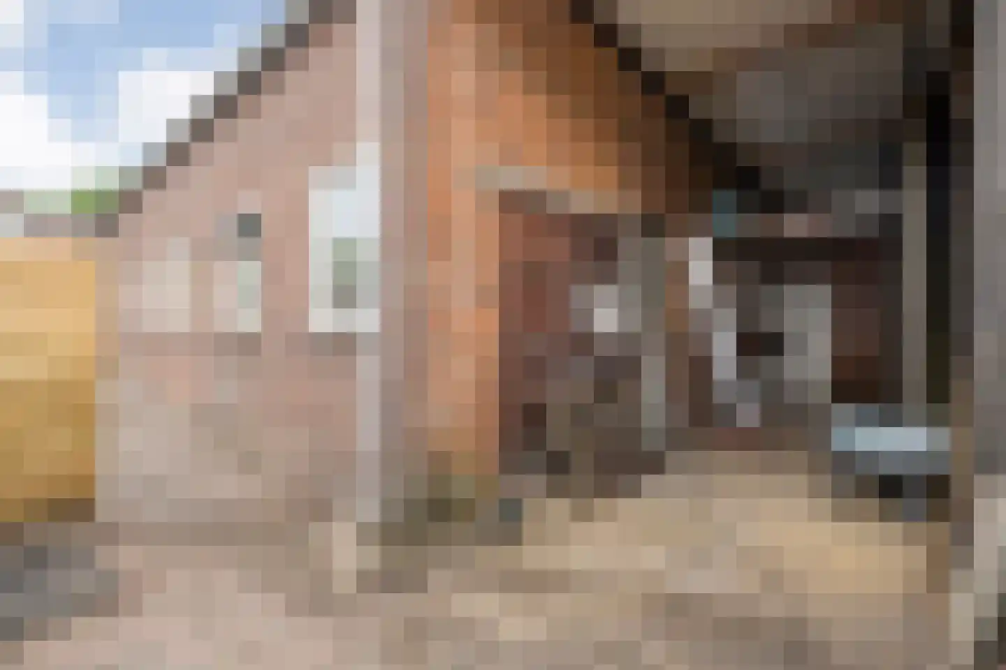 Rheezerend 36 Dedemsvaart thumbnail 37