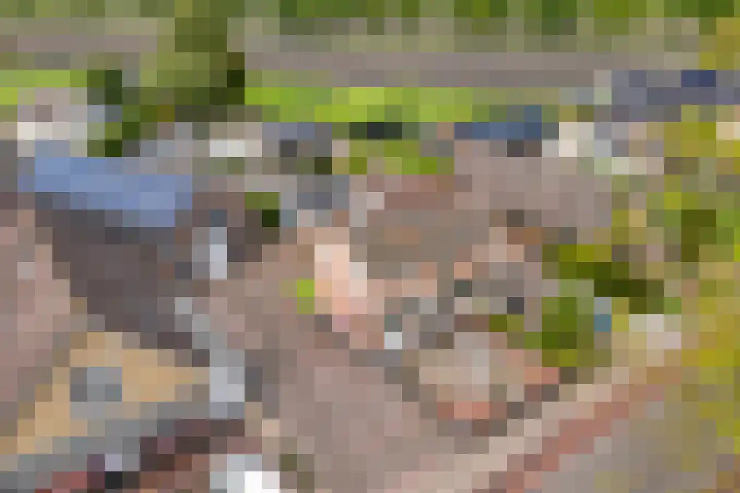 Rheezerend 36 Dedemsvaart thumbnail 4