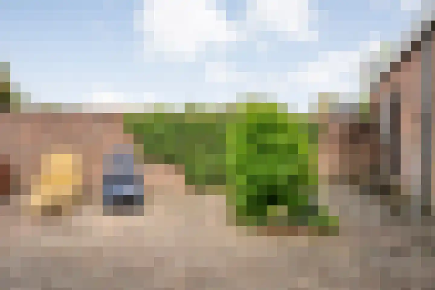 Rheezerend 36 Dedemsvaart thumbnail 42