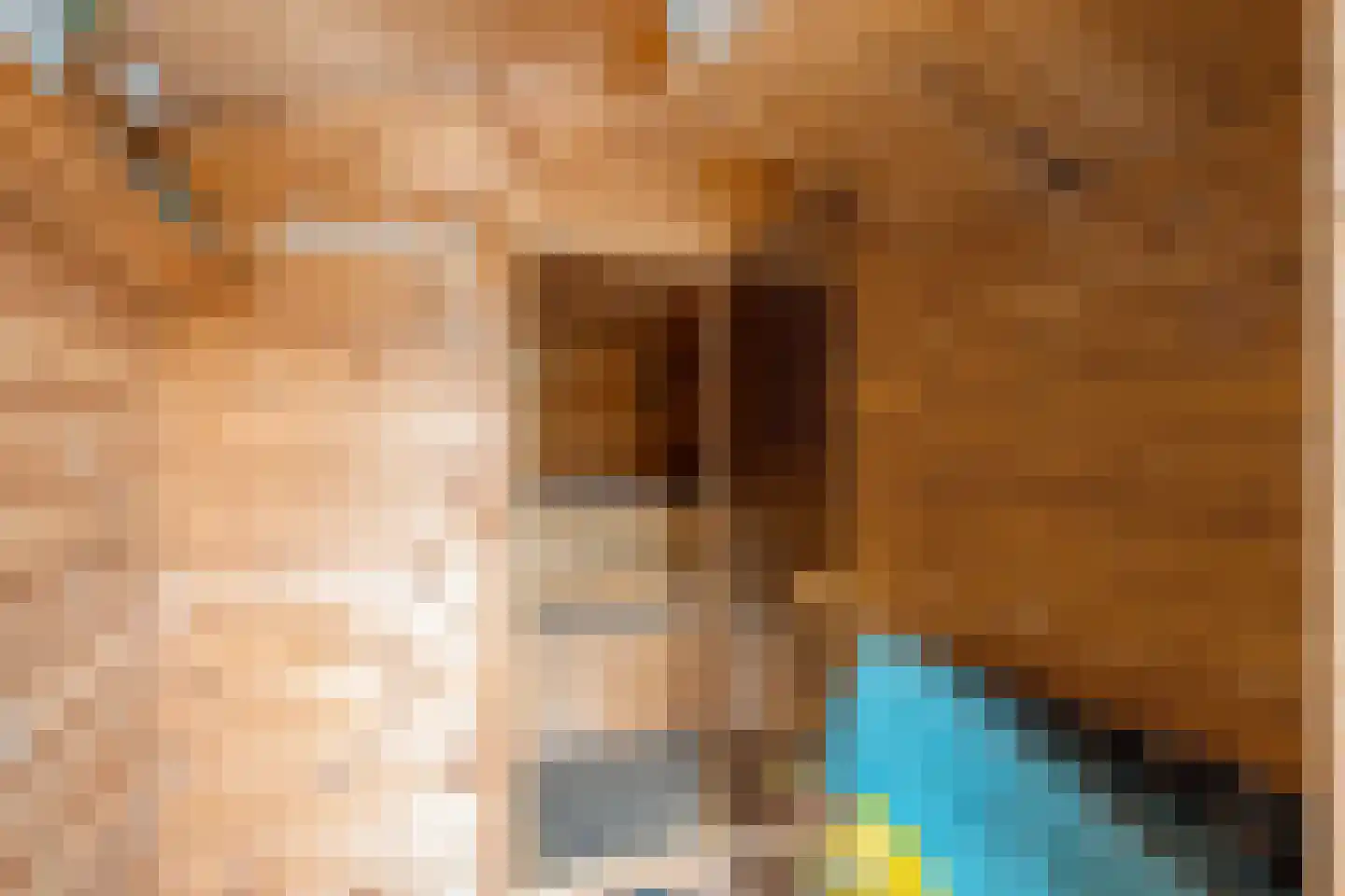 Rheezerend 36 Dedemsvaart thumbnail 43