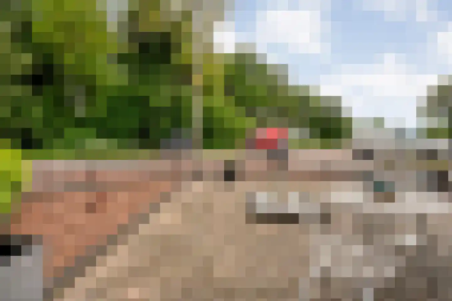 Rheezerend 36 Dedemsvaart thumbnail 9