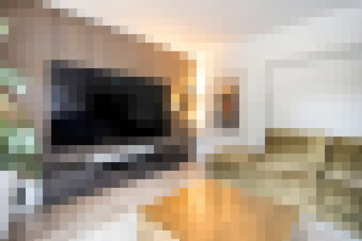 Rheezerend 48 Dedemsvaart thumbnail 10