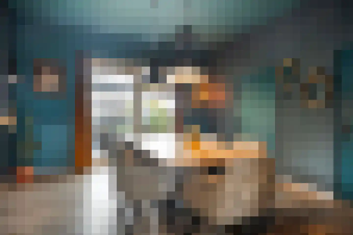 Rheezerend 48 Dedemsvaart thumbnail 12