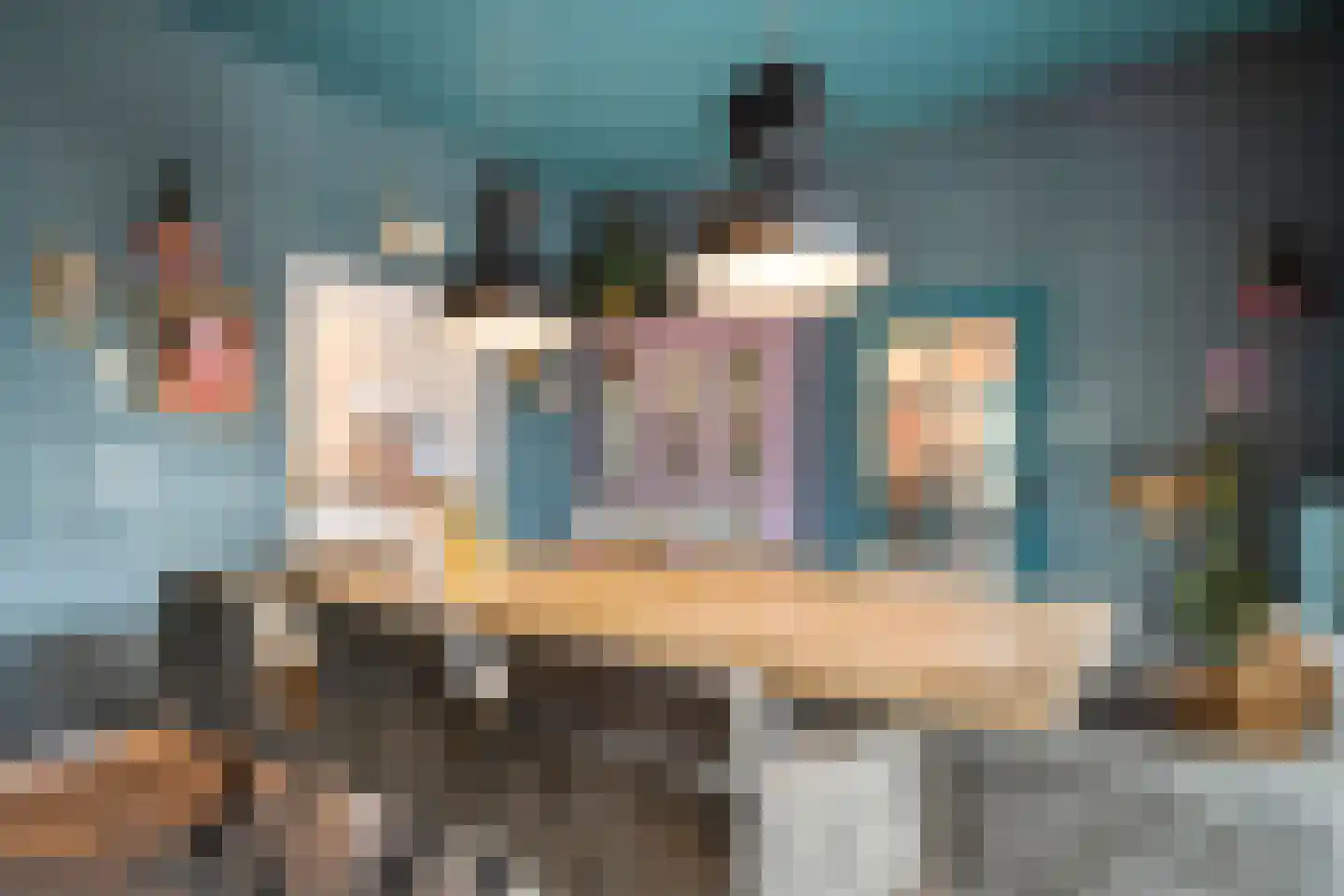 Rheezerend 48 Dedemsvaart thumbnail 13