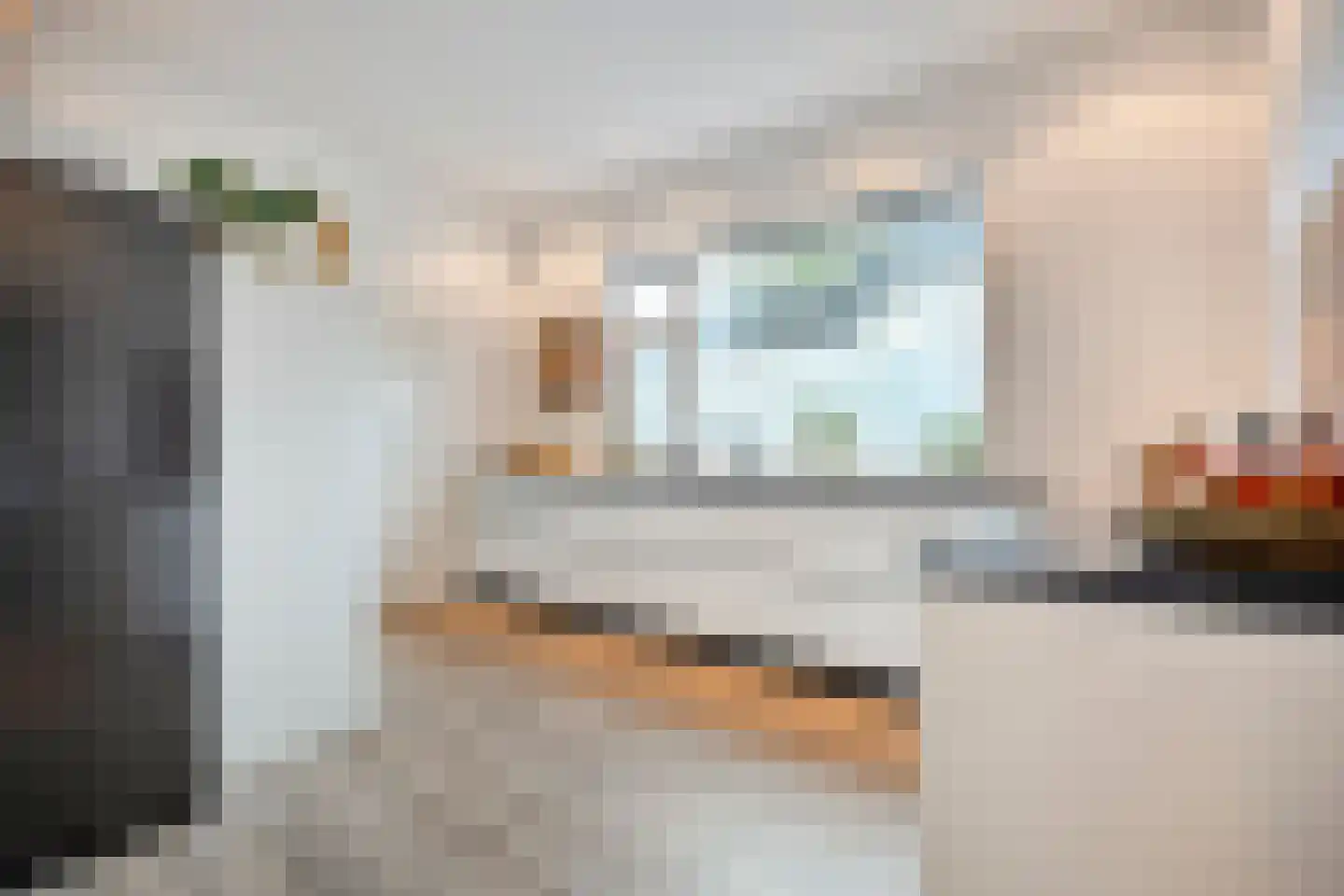 Rheezerend 48 Dedemsvaart thumbnail 14