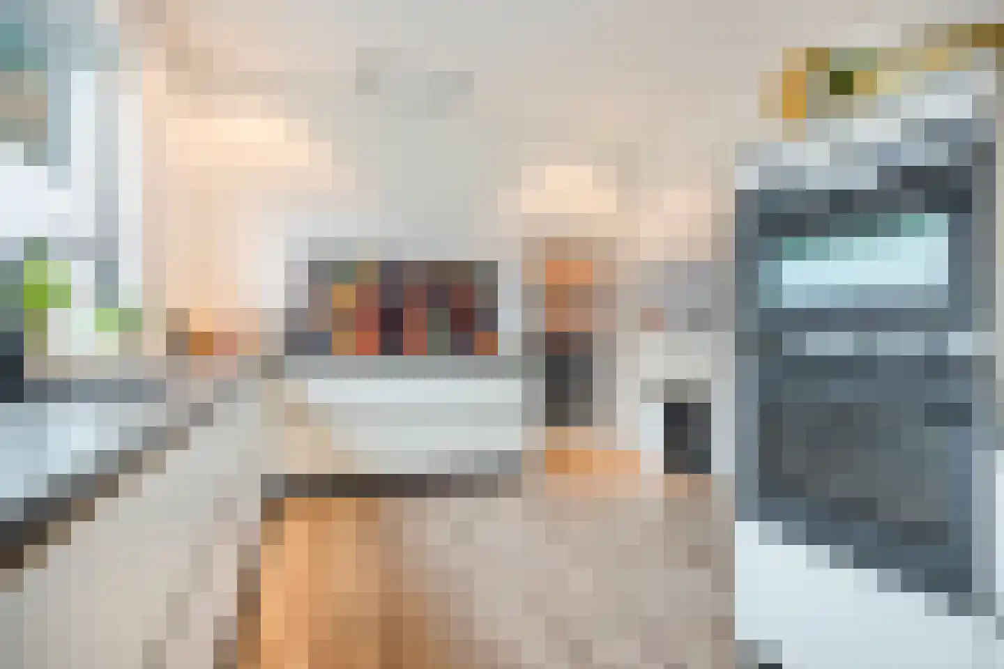 Rheezerend 48 Dedemsvaart thumbnail 15