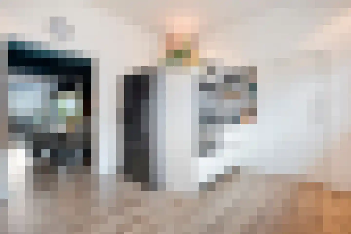 Rheezerend 48 Dedemsvaart thumbnail 16