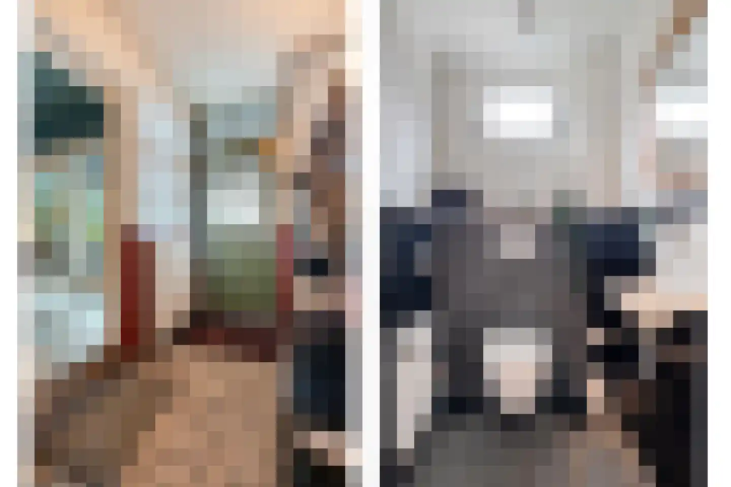 Rheezerend 48 Dedemsvaart thumbnail 20