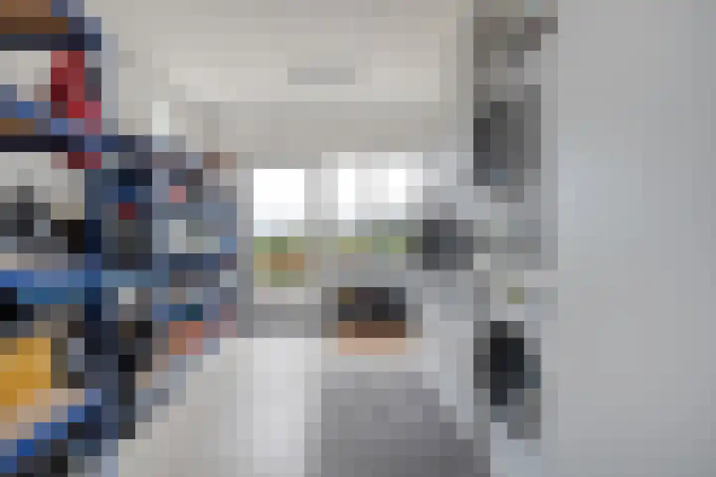 Rheezerend 48 Dedemsvaart thumbnail 21