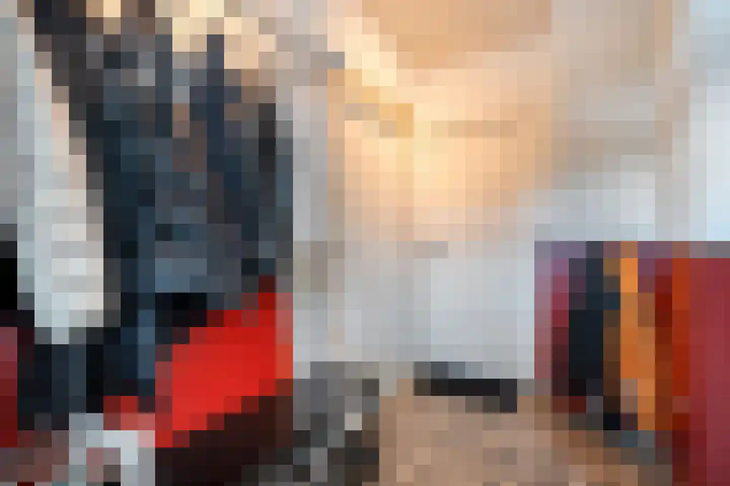 Rheezerend 48 Dedemsvaart thumbnail 22