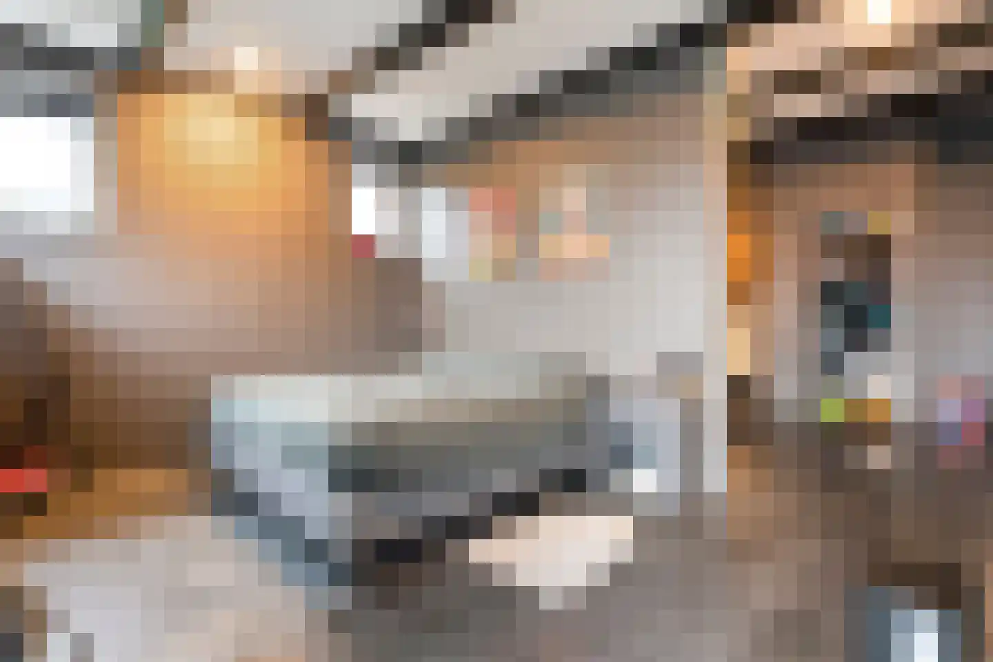 Rheezerend 48 Dedemsvaart thumbnail 24