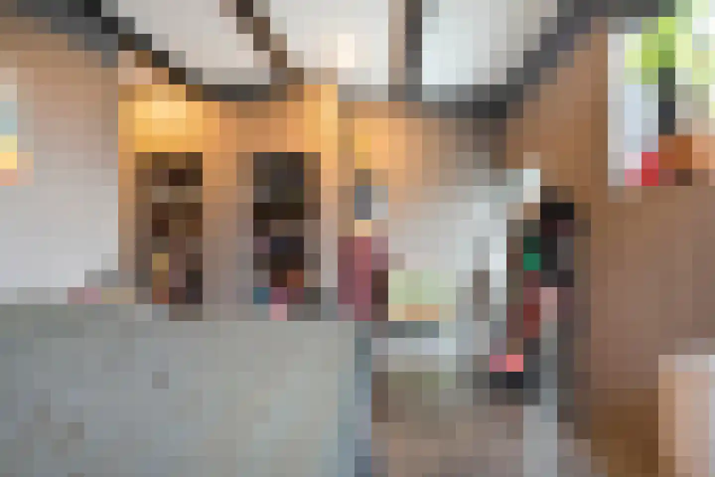 Rheezerend 48 Dedemsvaart thumbnail 25
