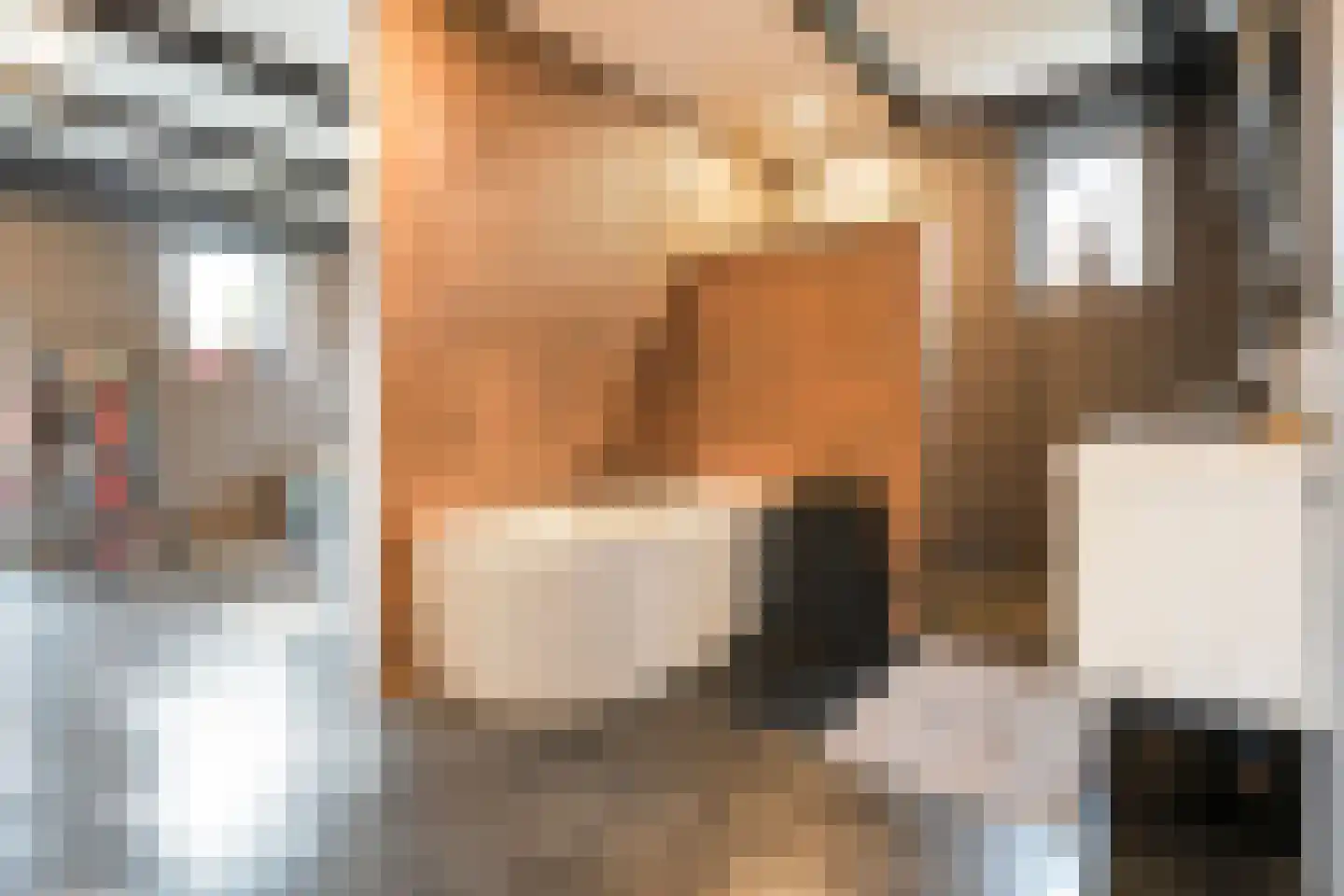 Rheezerend 48 Dedemsvaart thumbnail 26