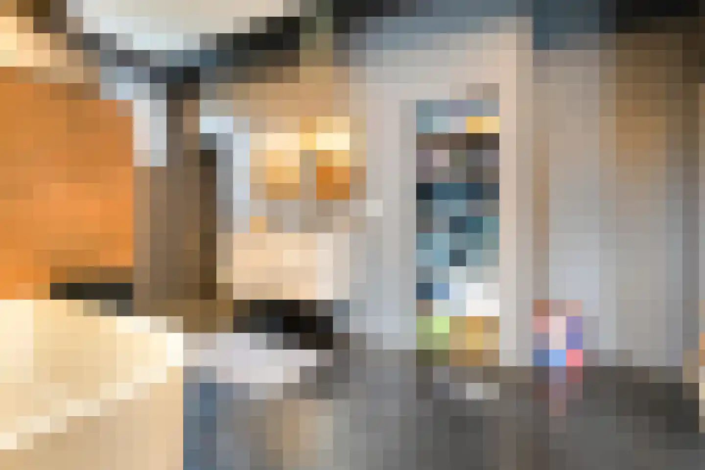 Rheezerend 48 Dedemsvaart thumbnail 27