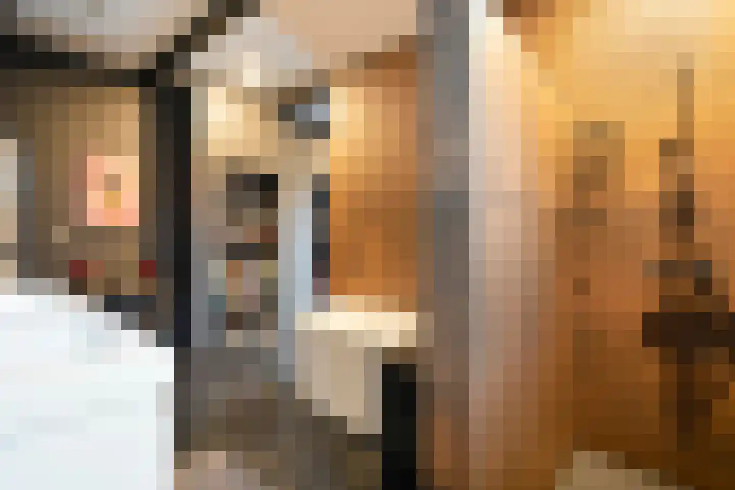 Rheezerend 48 Dedemsvaart thumbnail 28