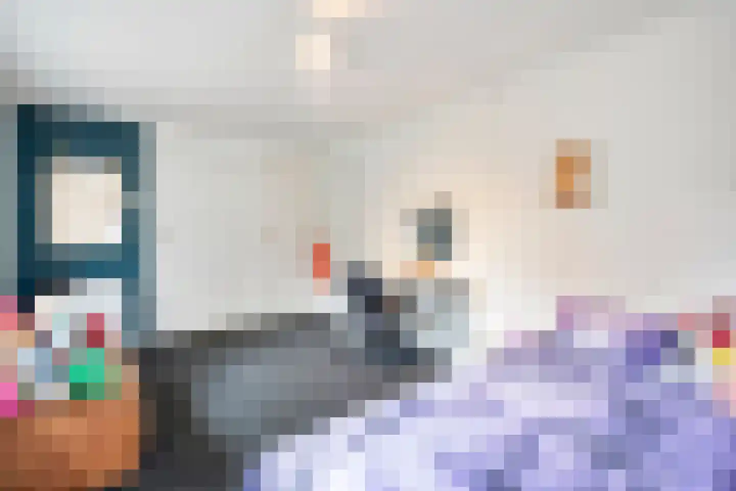 Rheezerend 48 Dedemsvaart thumbnail 33