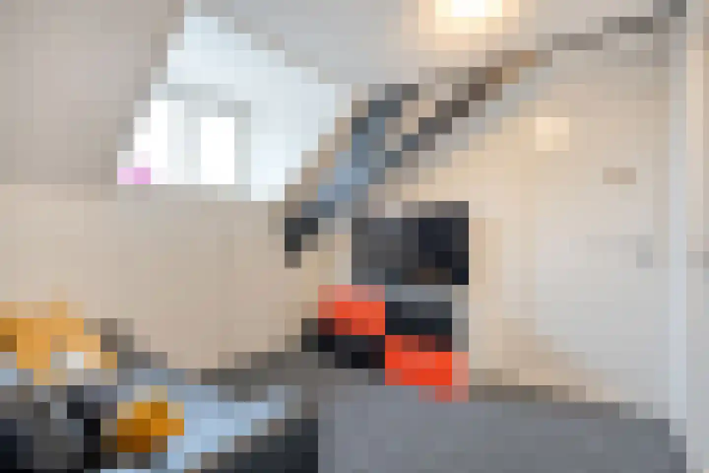 Rheezerend 48 Dedemsvaart thumbnail 36