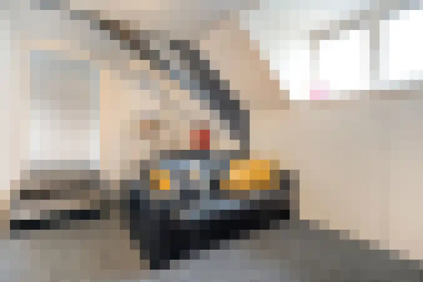 Rheezerend 48 Dedemsvaart thumbnail 37