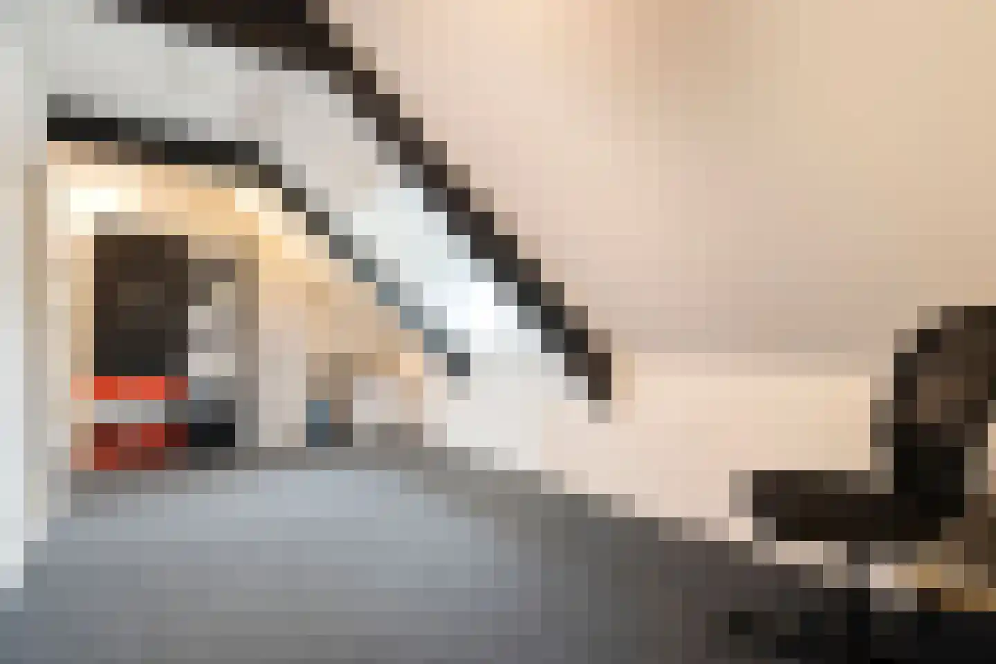 Rheezerend 48 Dedemsvaart thumbnail 38