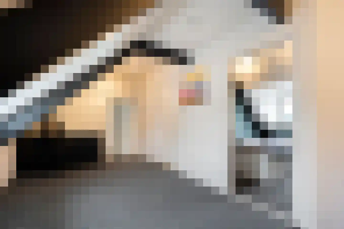 Rheezerend 48 Dedemsvaart thumbnail 39