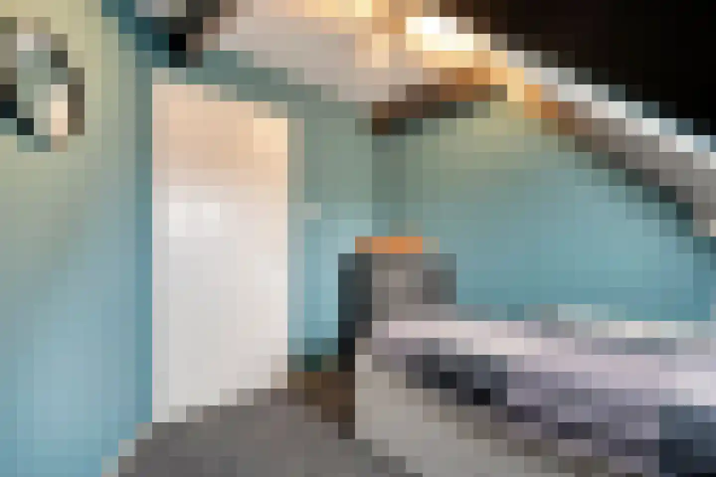 Rheezerend 48 Dedemsvaart thumbnail 41