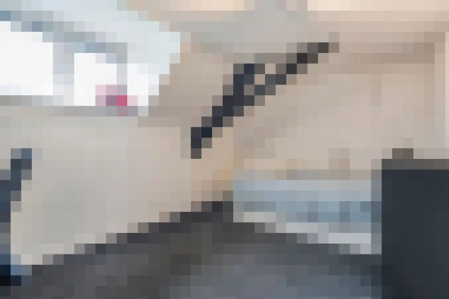 Rheezerend 48 Dedemsvaart thumbnail 42