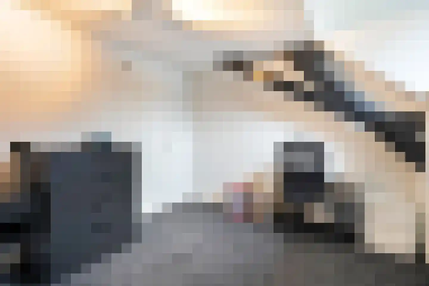 Rheezerend 48 Dedemsvaart thumbnail 43