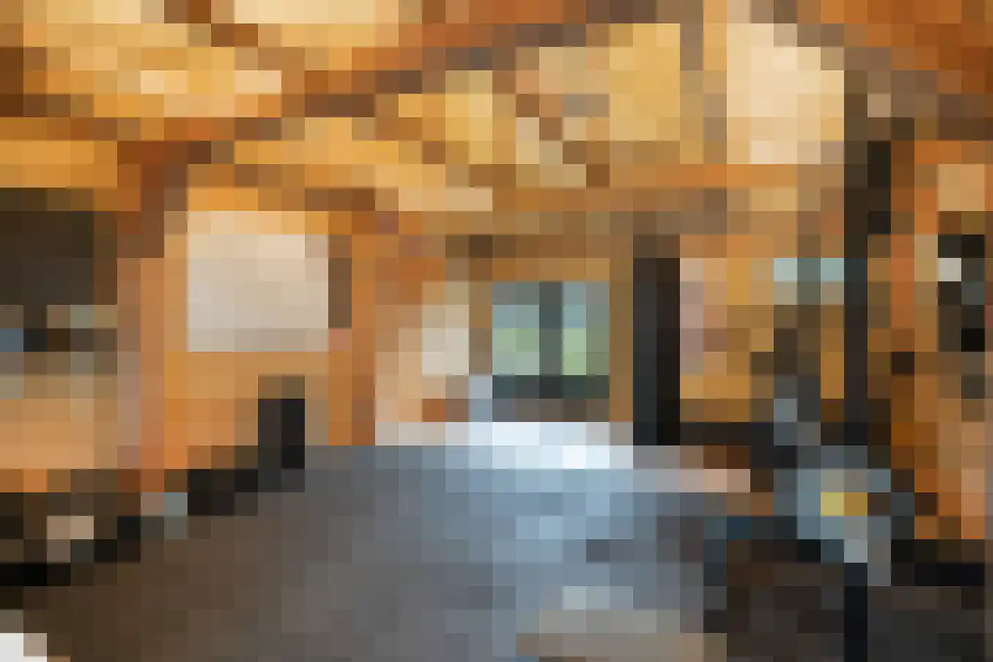 Rheezerend 48 Dedemsvaart thumbnail 45